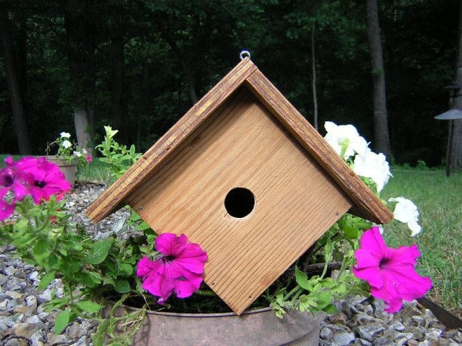 10 FREE Wren Bird House Plans For Spring DIY Projects