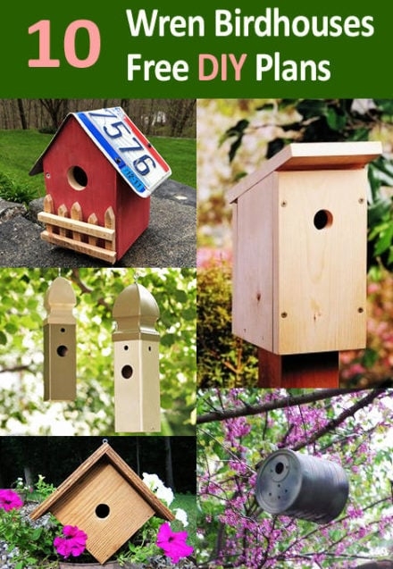 10 FREE Wren Bird House Plans For Spring DIY Projects