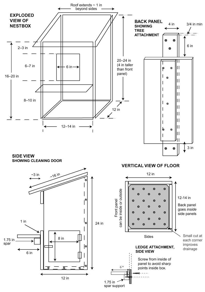 Barn Owl House Dimensions Design Talk