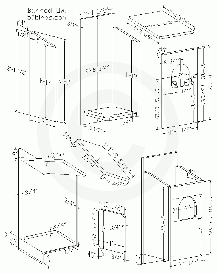 Barred Owl Birdhouse Plans 70birds Birdhouse Plans Index