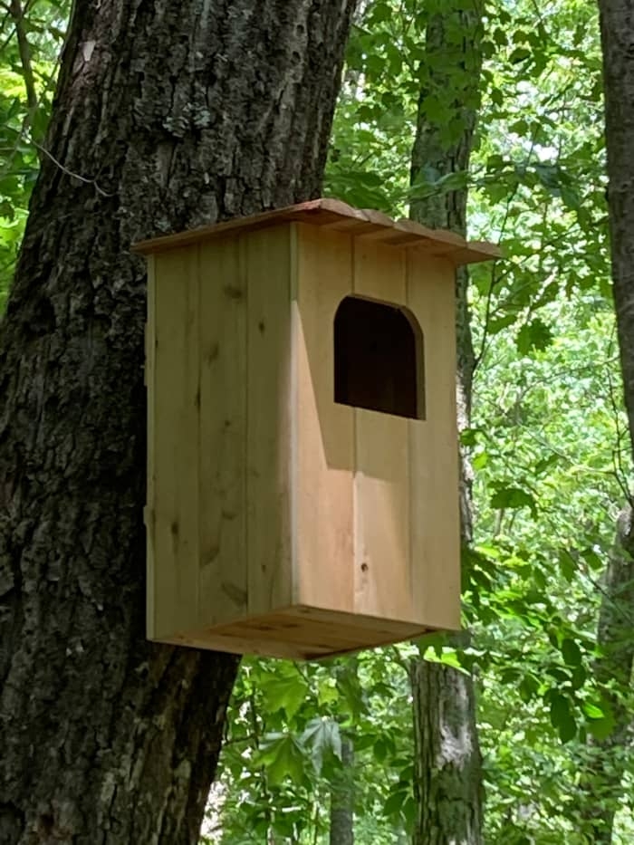 Barred Owl Nest Box Plans How To Build A Barred Owl House FeltMagnet