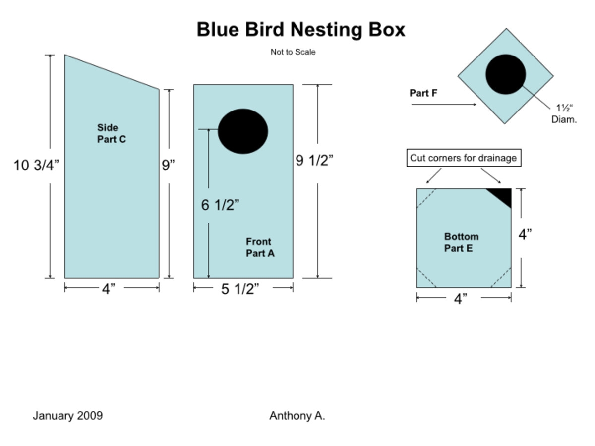 Bluebird House Plans How To Build A Simple DIY Bluebird House FeltMagnet