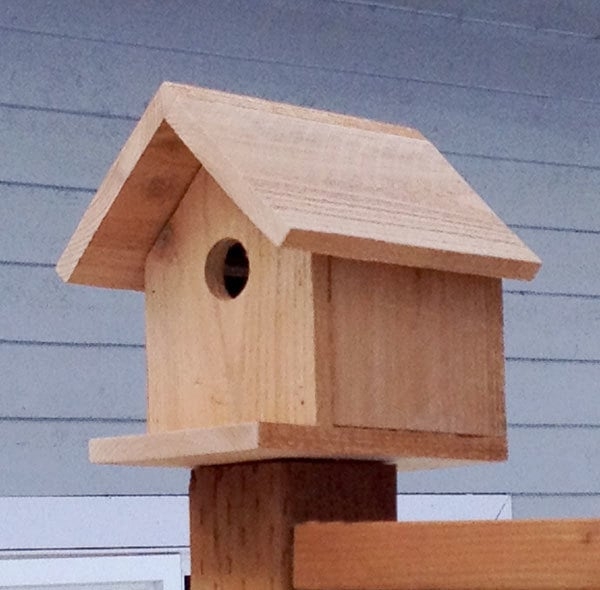 Build A Cedar Birdhouse For 2 Ana White
