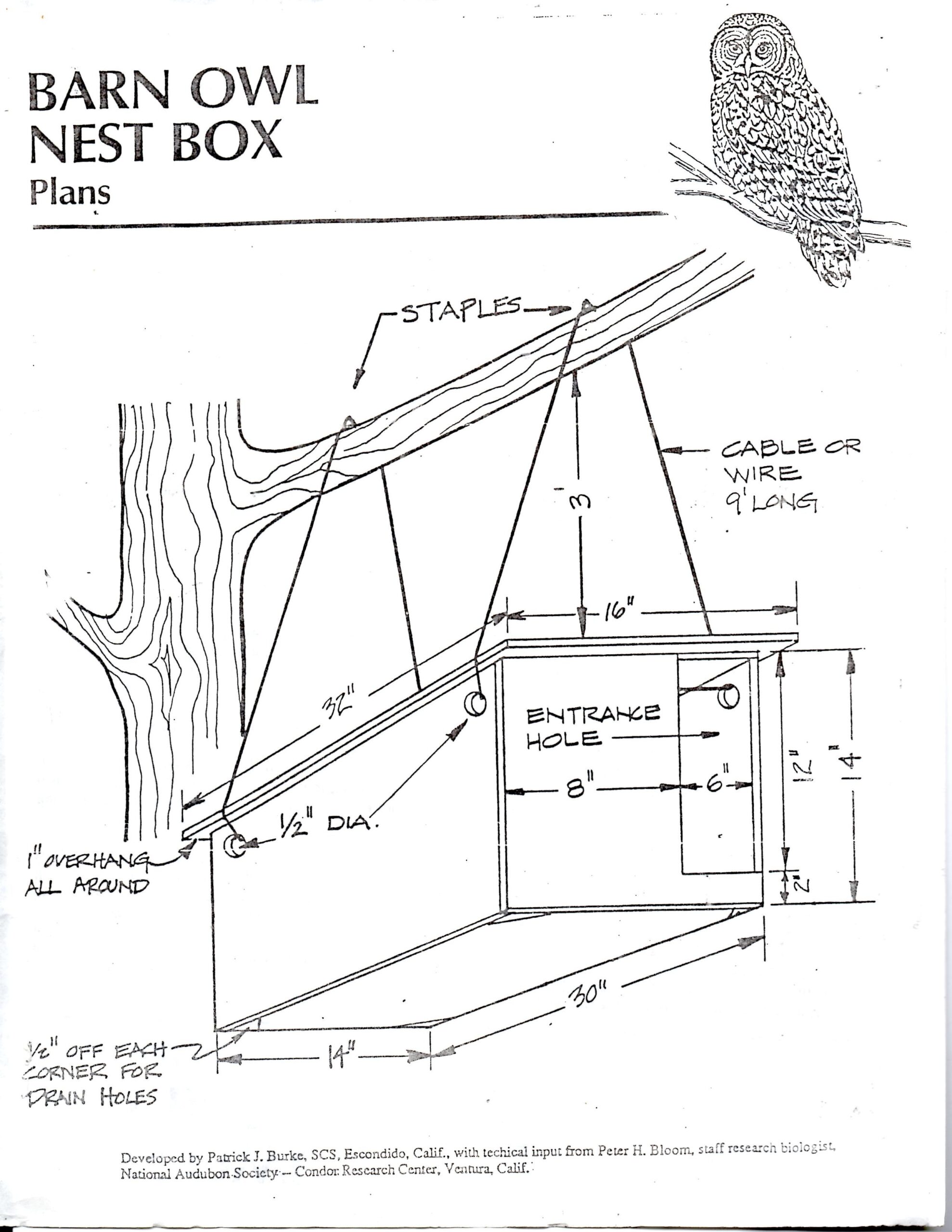 DIY Barn Owl Nesting Box Plans Pg 1 Owl Nest Box Nesting Boxes 