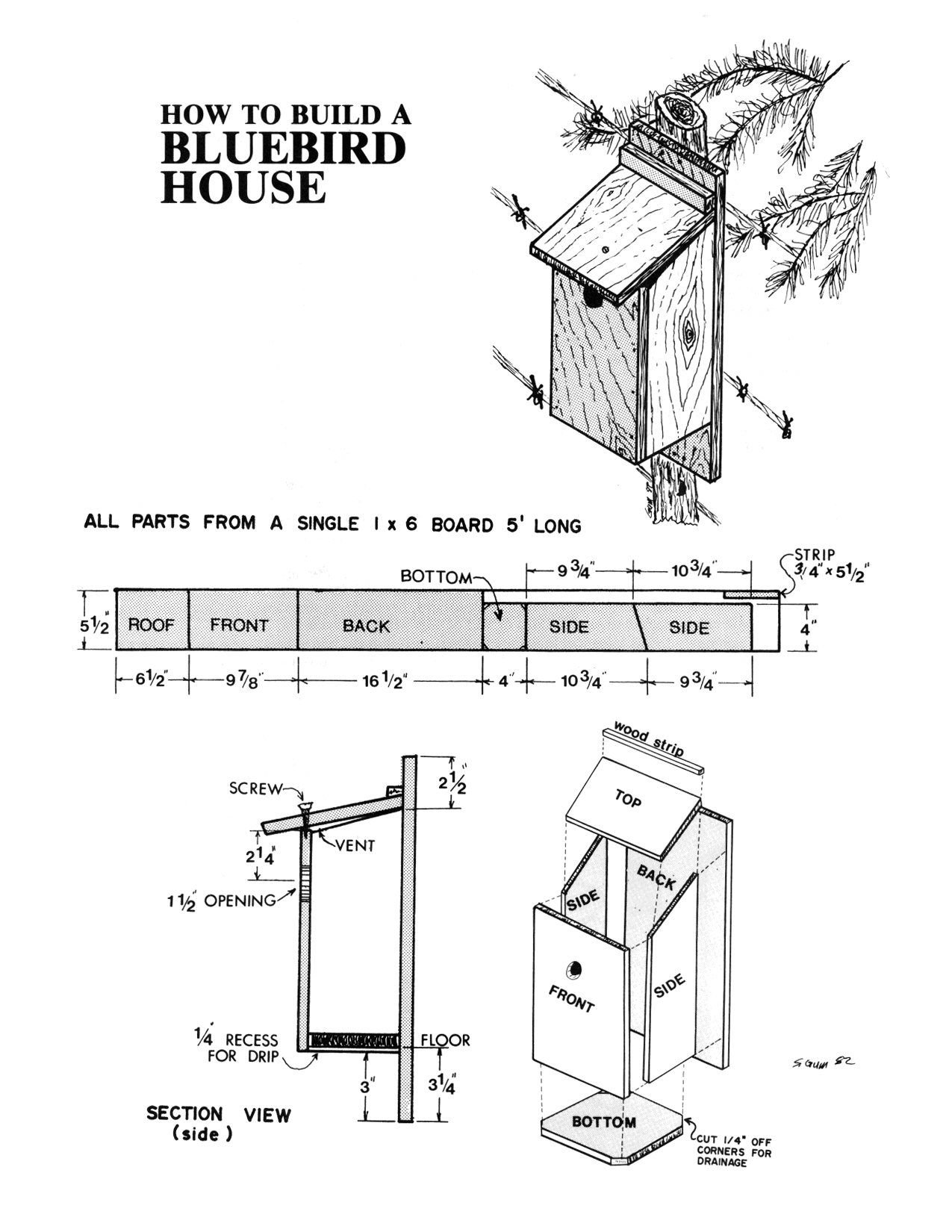 Free Printable Birdhouse Plans