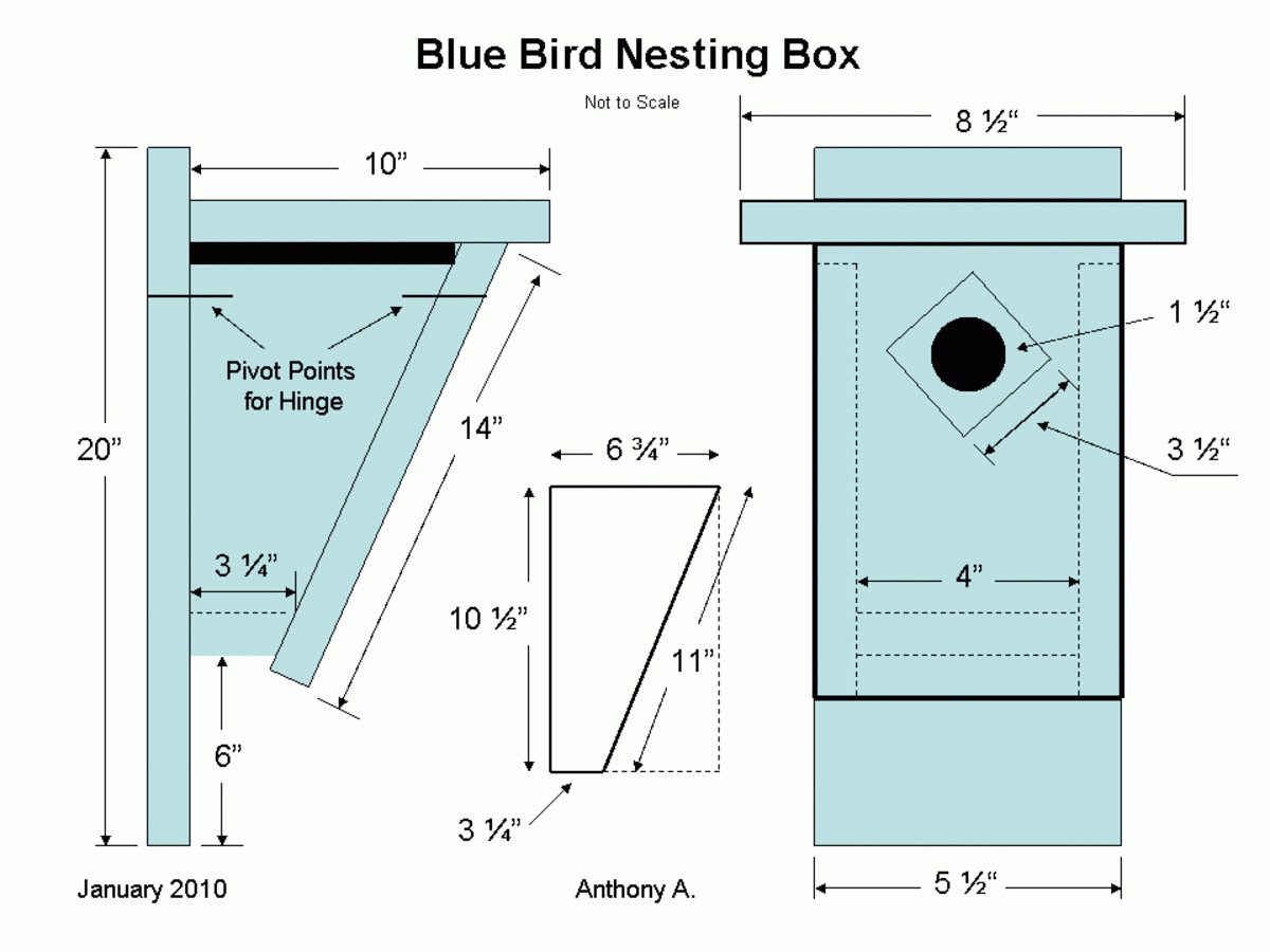 Printable Bluebird House Plans