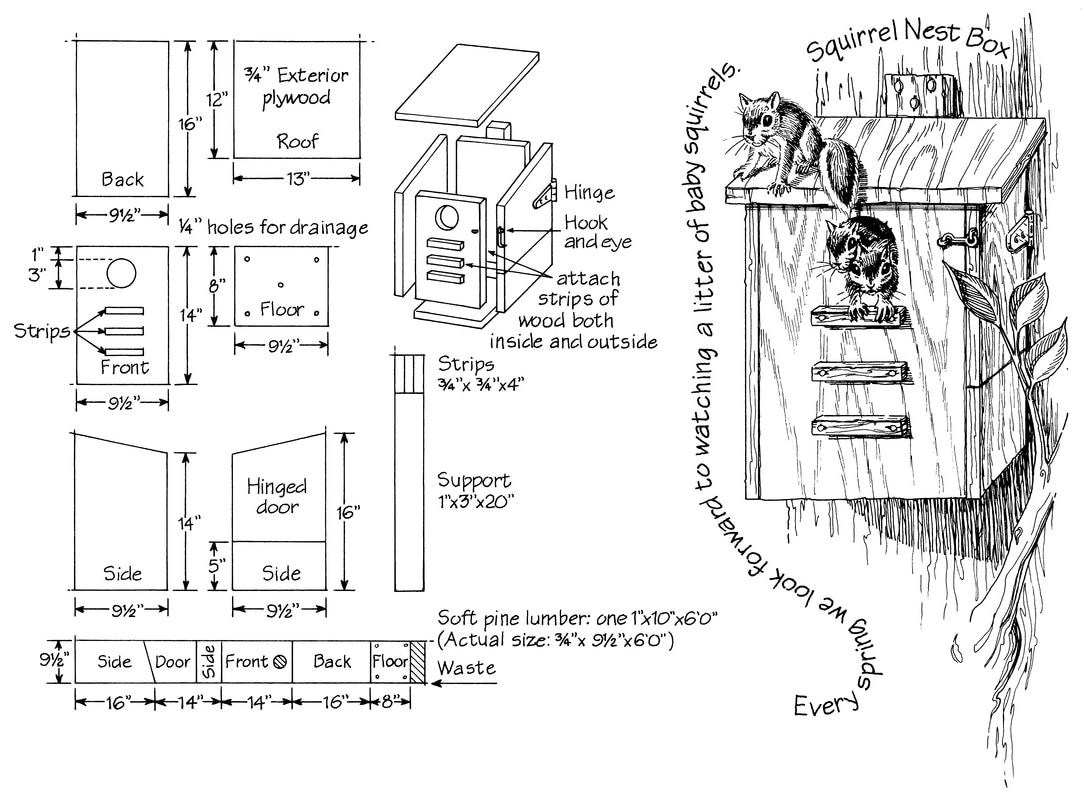 68 Captivating Squirrel House Plan Top Choices Of Architects