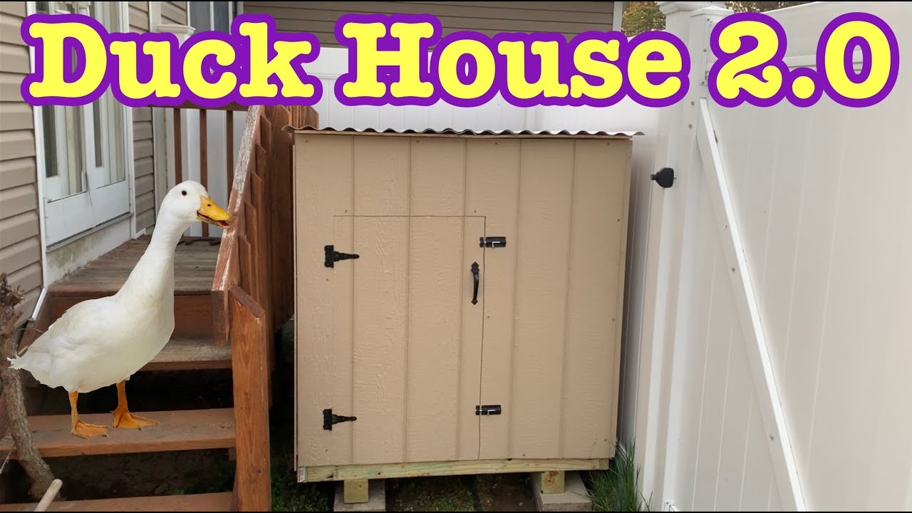 How To Build A Duck House V2 0 easy Basic YouTube