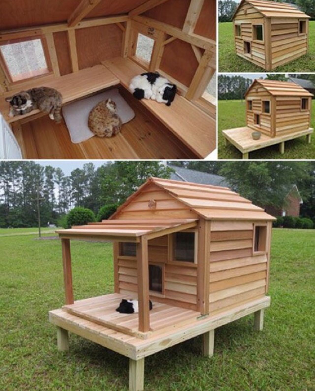 Incredible Weatherproof Diy Outdoor Cat House Plans 2023 Cheap Dog 